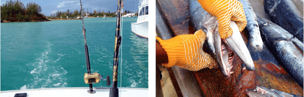 Out of Office: Cliff Jumping & Deep-Sea Fishing in Bermuda